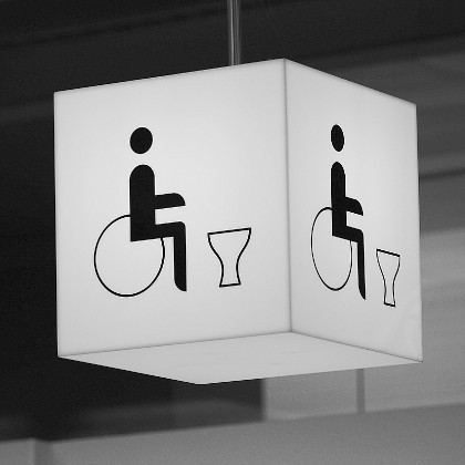 Servicio Toilets for people with disabilities